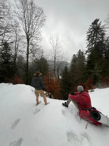 Deux scouts marchant dans un paysage de neige, en lisière de forêt