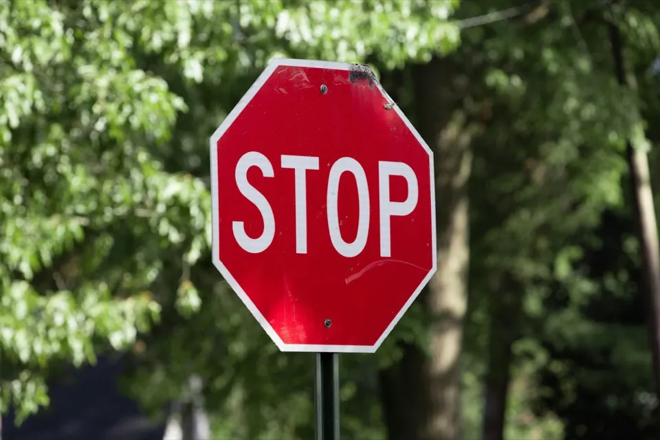 Un panneau STOP devant un feuillage vert
